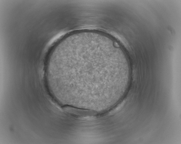 X0000115311406200911231320