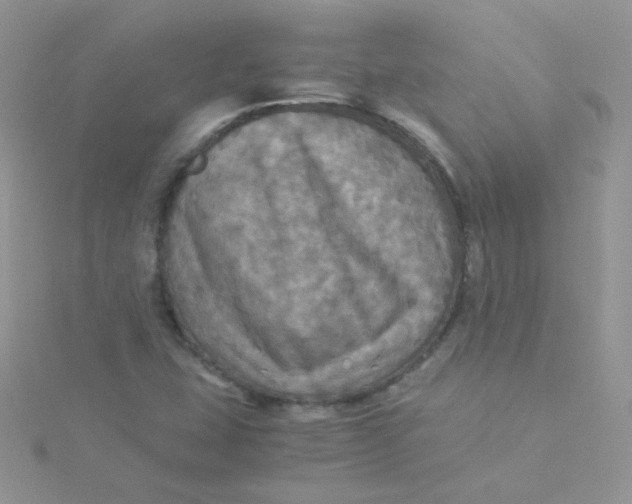 X0000115311407200911231320