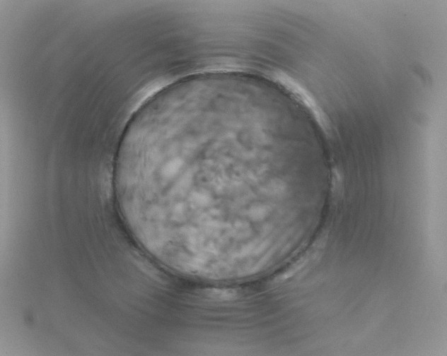 X0000115311409200911231320