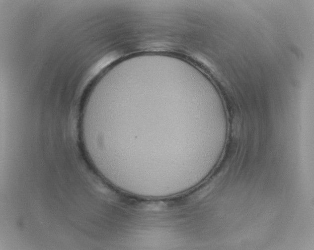 X0000115311410200911231320