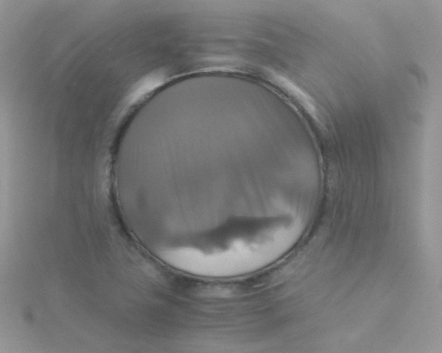 X0000115311411200911231320