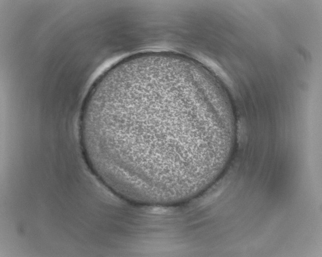 X0000115311412200911231320