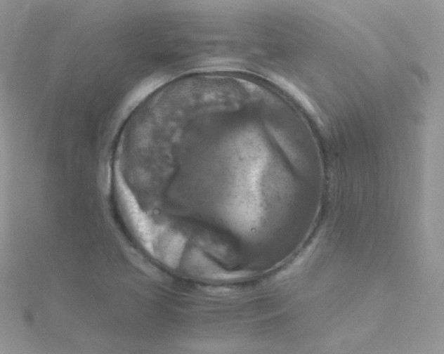 X0000115311413200911231320