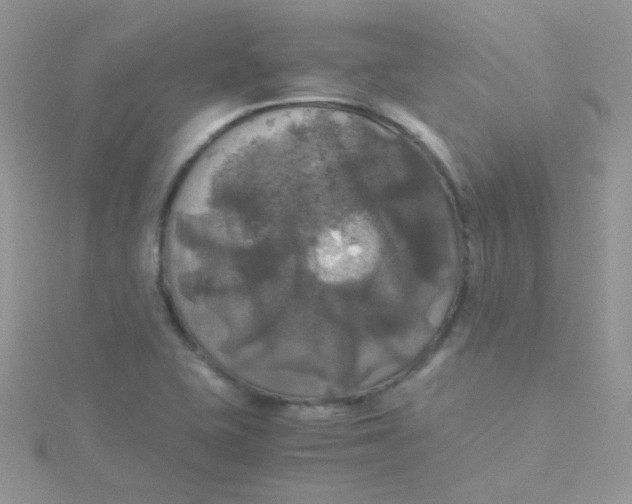 X0000115311415200911231320