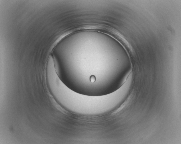 X0000115311417200911231320