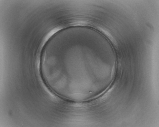 X0000115311418200911231320