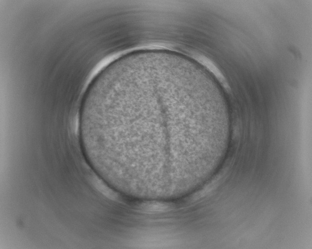 X0000115311420200911231320