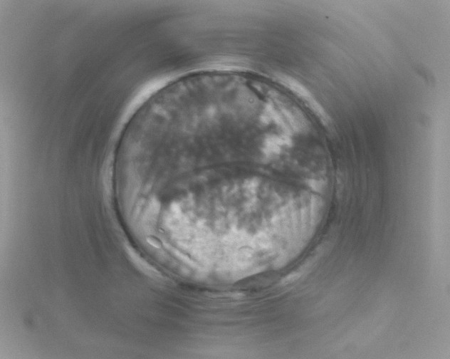 X0000115311421200911231320