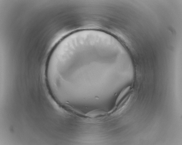 X0000115311422200911231320