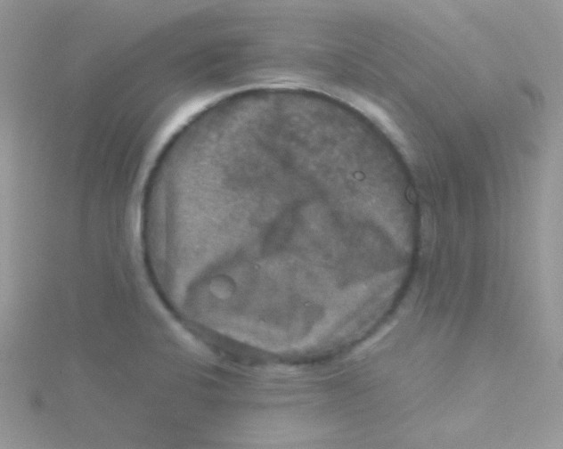 X0000115311424200911231320