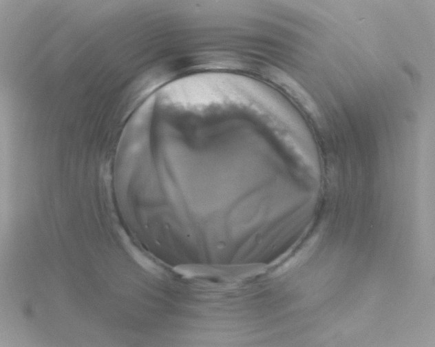 X0000115311425200911231320