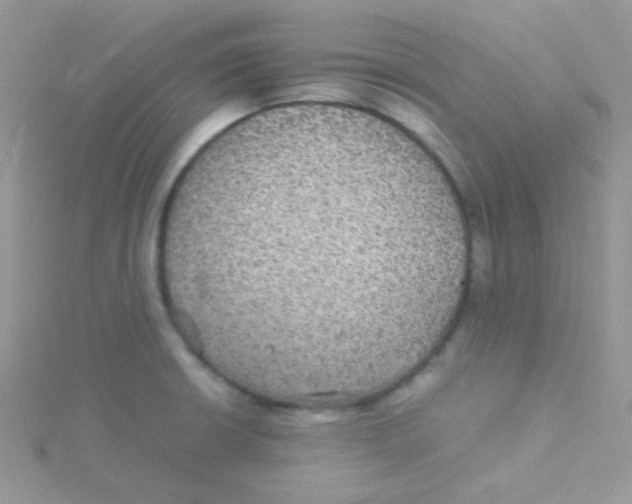 X0000115311426200911231320