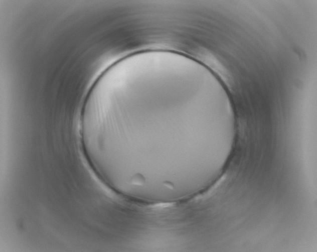 X0000115311428200911231320