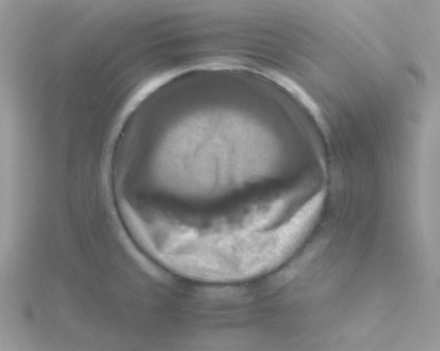 X0000115311429200911231320