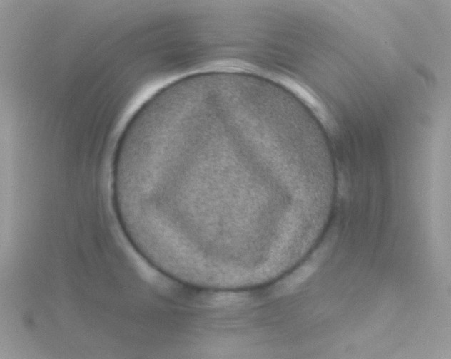 X0000115311430200911231320