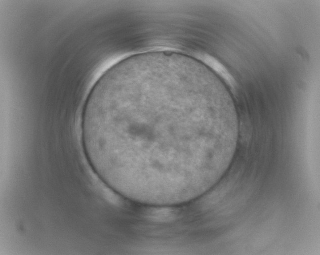 X0000115311431200911231320