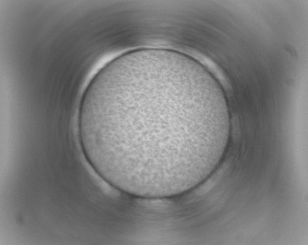 X0000115311432200911231320