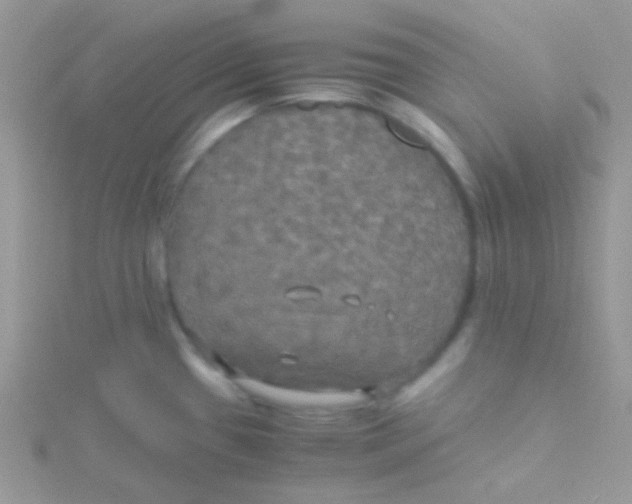 X0000115311433200911231320