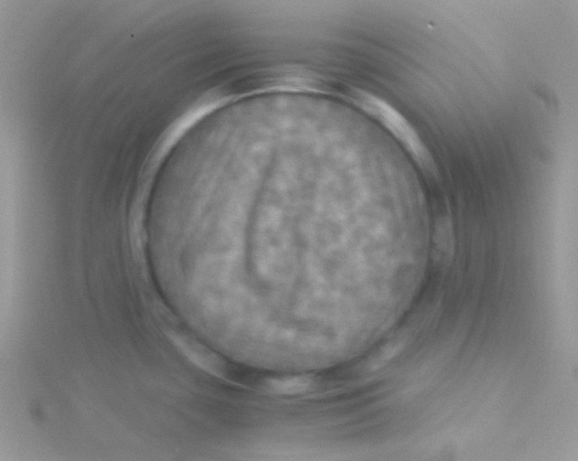 X0000115311435200911231320