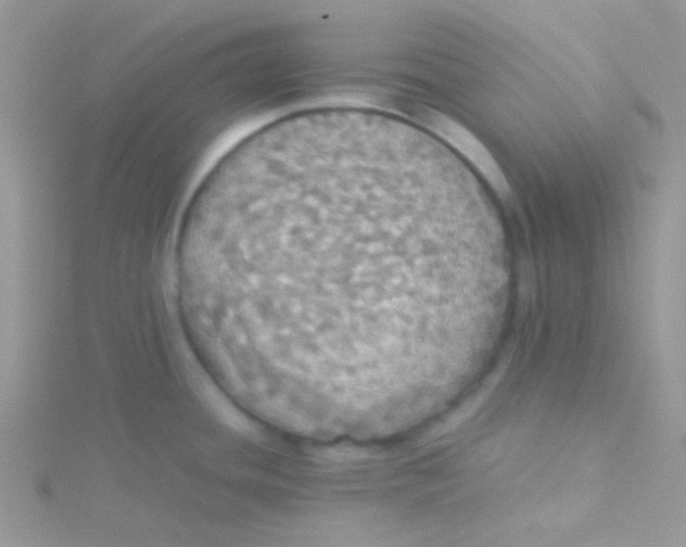 X0000115311436200911231320