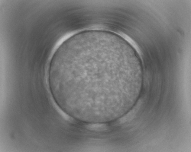 X0000115311437200911231320