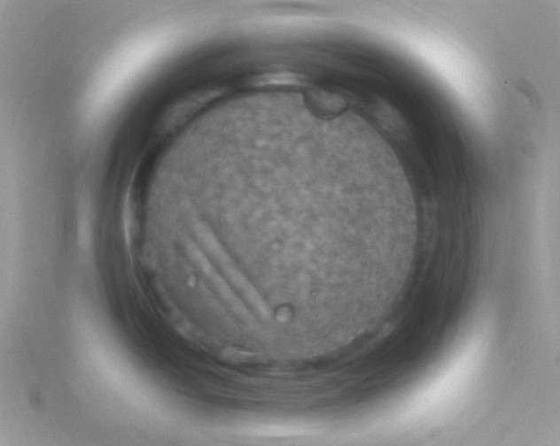 X0000115311438200911231320