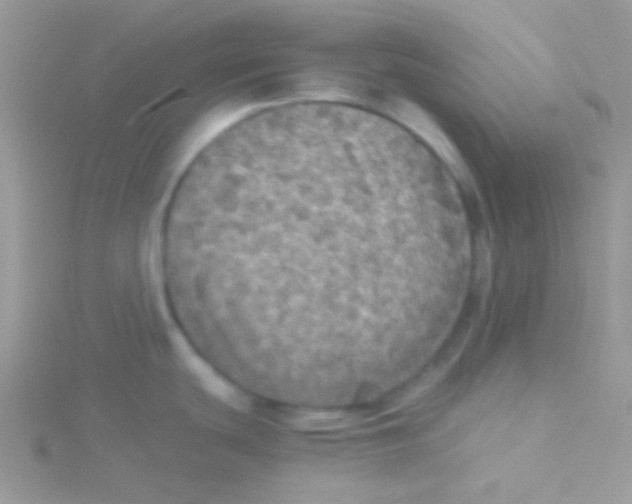 X0000115311439200911231320