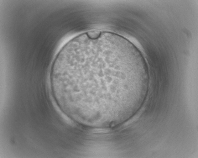 X0000115311440200911231320