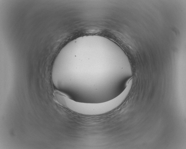 X0000115311441200911231320