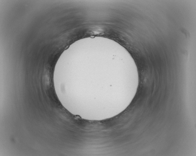 X0000115311442200911231320