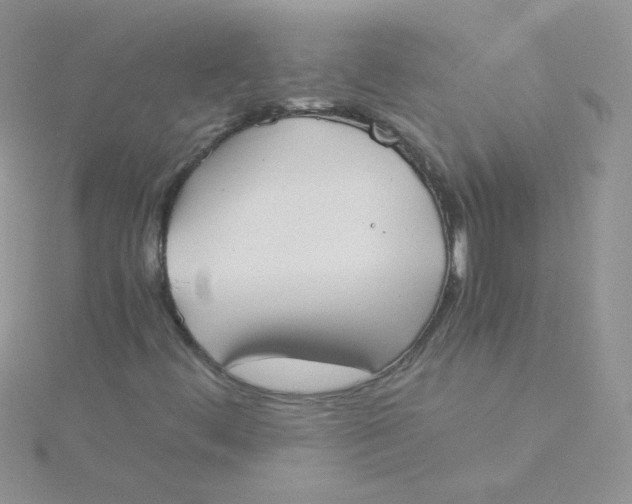 X0000115311444200911231320