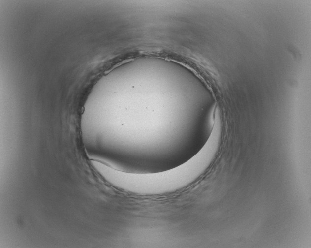 X0000115311445200911231320