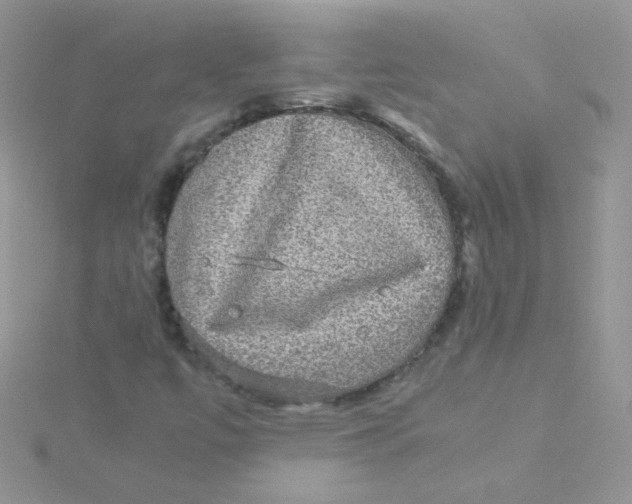 X0000115311447200911231320