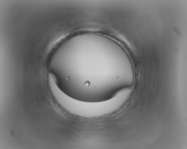 X0000115311448200911231320