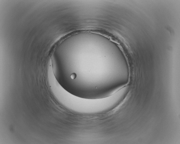 X0000115311449200911231320