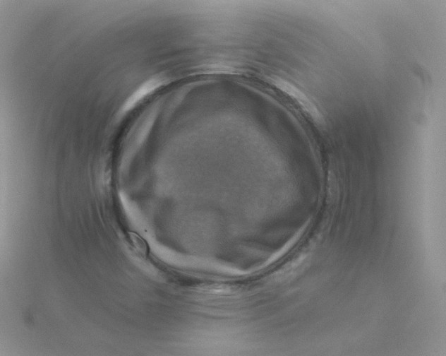 X0000115311450200911231320