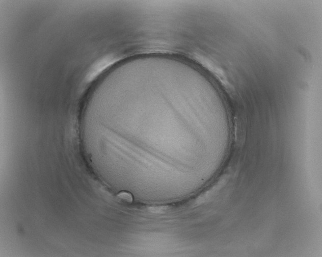 X0000115311453200911231320