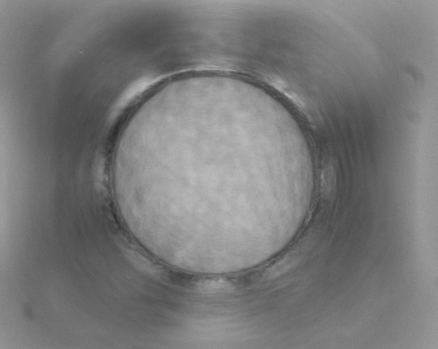 X0000115311454200911231319