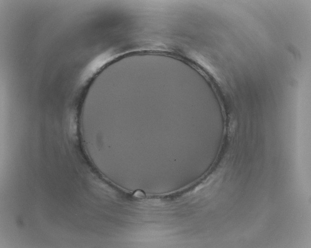 X0000115311455200911231319