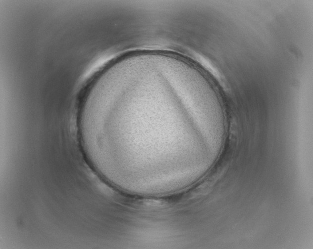 X0000115311456200911231319