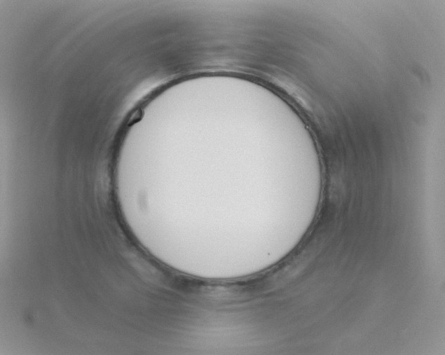 X0000115311458200911231319