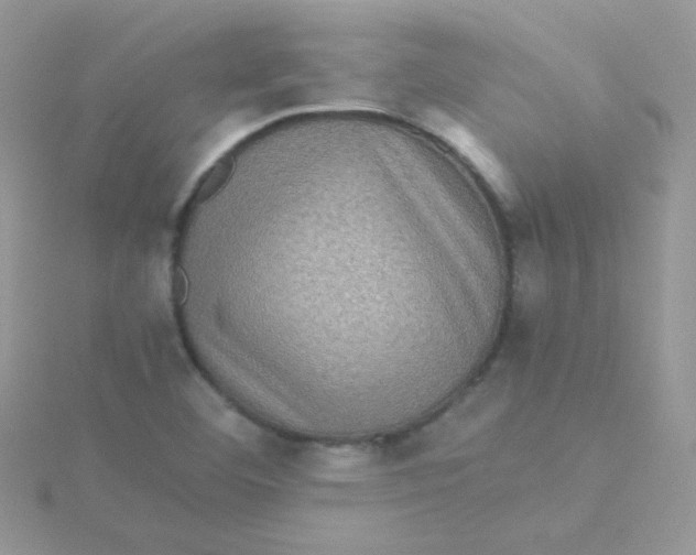 X0000115311460200911231319