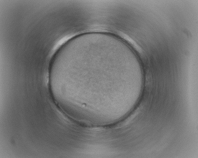 X0000115311461200911231319