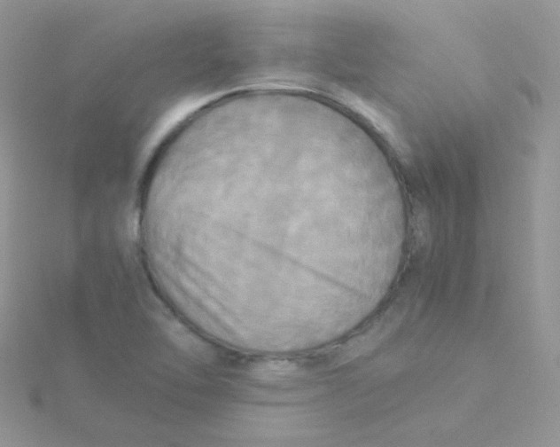 X0000115311462200911231319