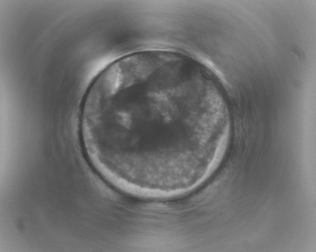 X0000115311463200911231319