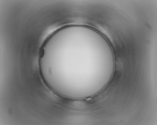 X0000115311464200911231319