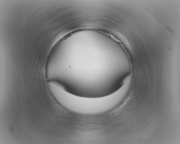 X0000115311465200911231319