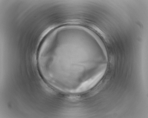 X0000115311466200911231319