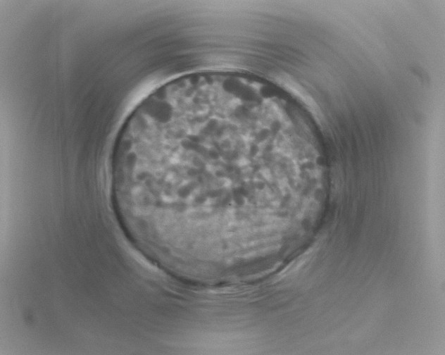 X0000115311467200911231319