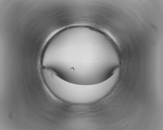 X0000115311468200911231319